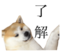 643557011