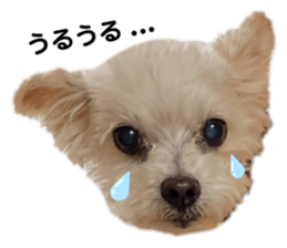 643558033