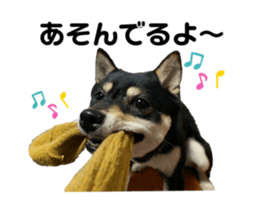 643558558