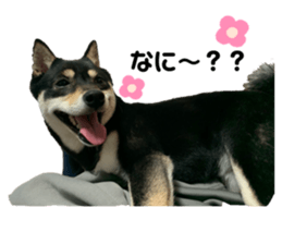 643558562