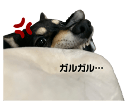643558578