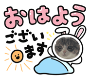 643561191