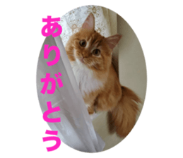 643561773