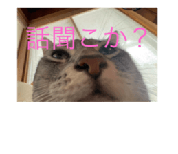 643563813