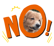 643567645