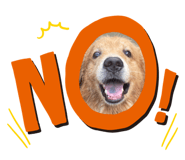 643567693