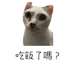 643580099