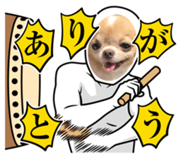 643589619