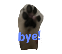 643612066