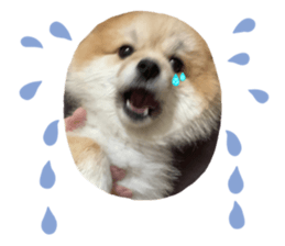 643677637