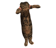 643685579