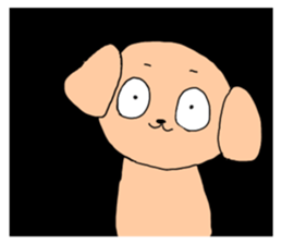 643698776