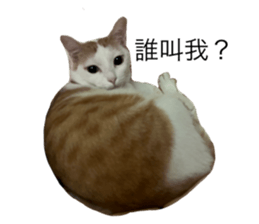 643758209