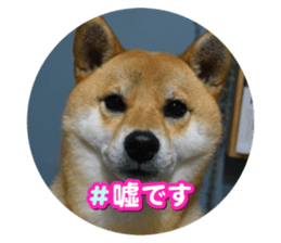 643778630