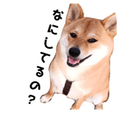 643783331