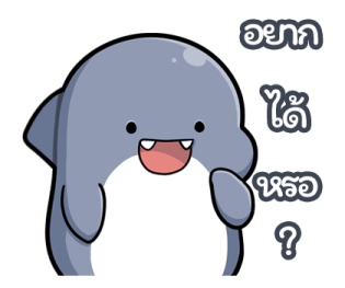 ฉลามน้อย ชวนเที่ยว รูปที่ 23