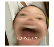 643836558