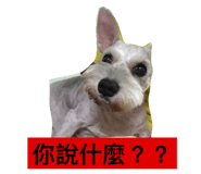 64384967