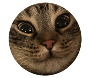 643851870