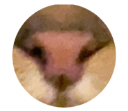 643853275