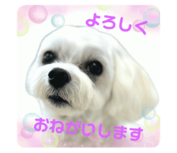 643861163
