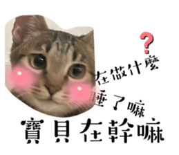 643863732