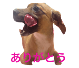 64388360