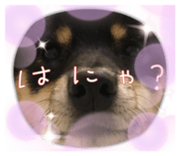 643889532