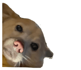 643920060