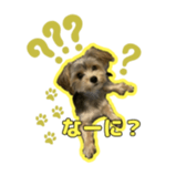 643921270