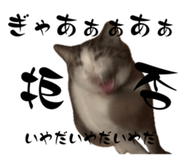 644017823