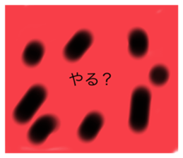 644030501