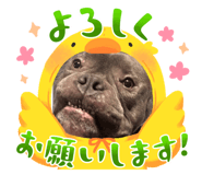 644031929
