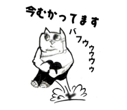 644055426