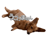 644055896