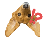 644055897