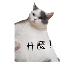 644057817