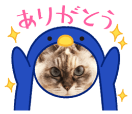 644066824