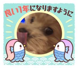 644066892