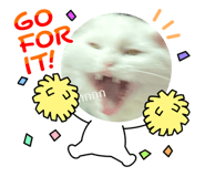 644072018