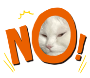 644072036