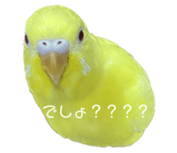 644073963