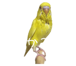 644073965