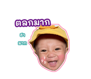 644081674