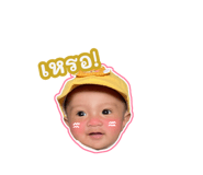 644081684
