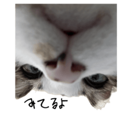 644090126