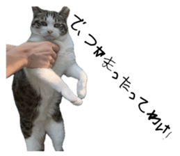 644090147