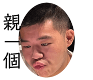 644093066