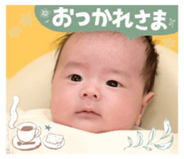 644094355