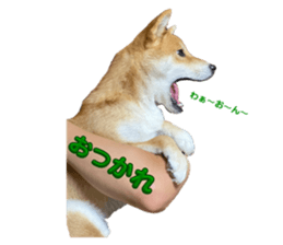 644123403